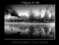 Magico Inverno