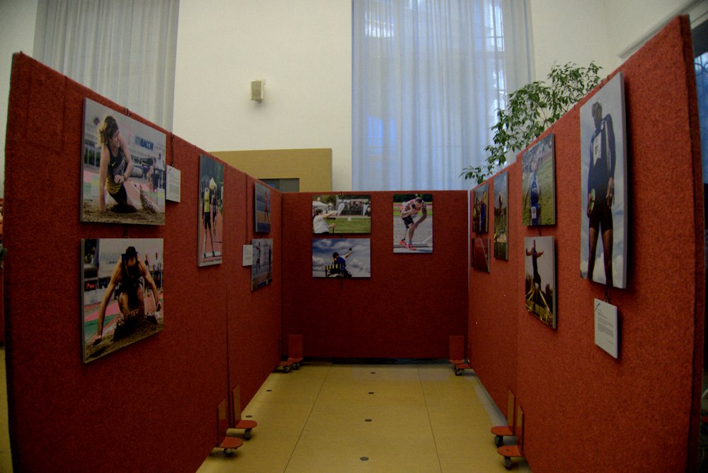 Allestimento
