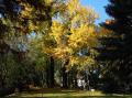 AUTUNNO